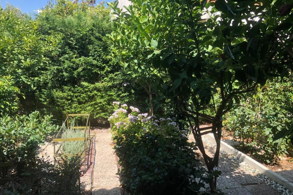 Villa Ανακαινισμενη Μονοκατοικια 125 Τμ Στο Κεντρο Με Κηπο à Mesolóngion Extérieur photo